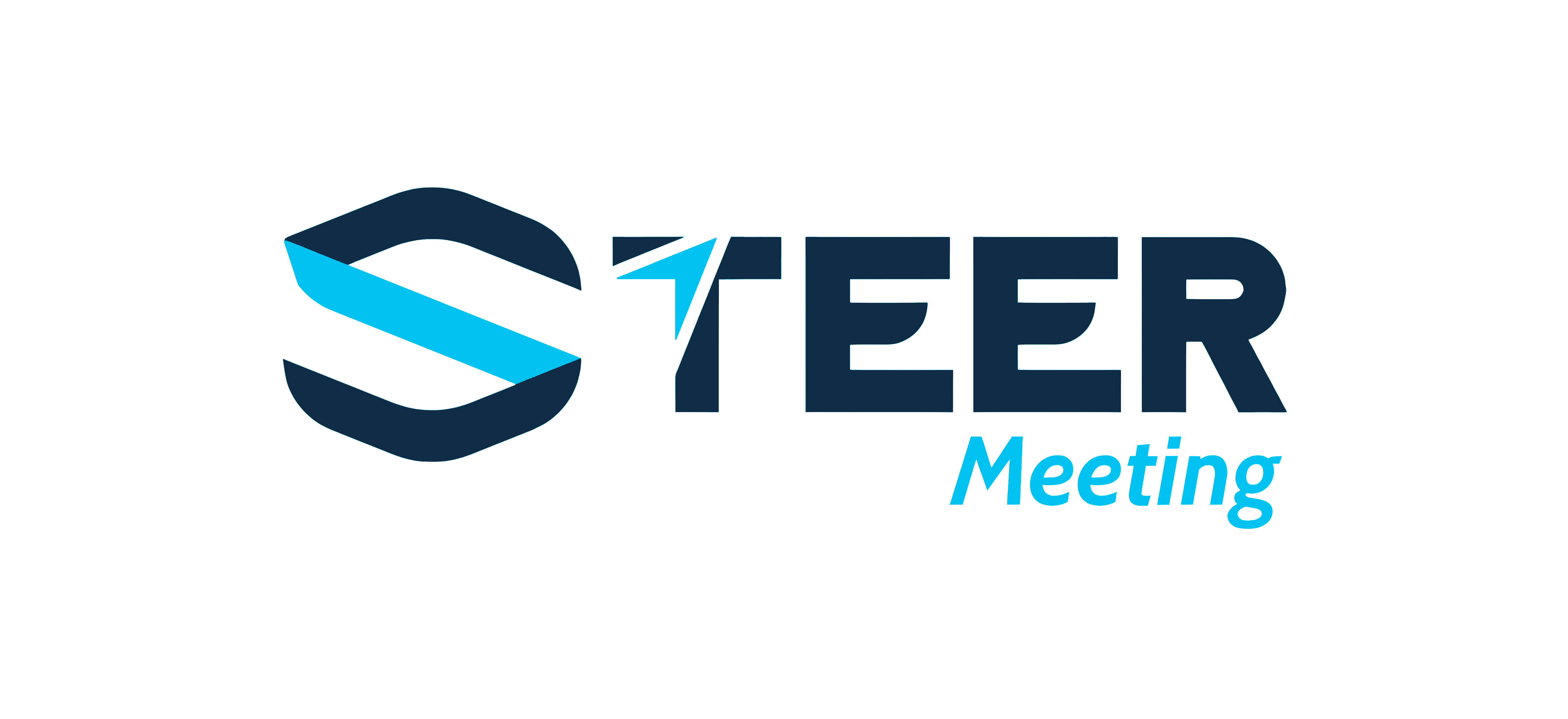 Steer Meeting